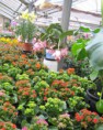 /album/gallery/foto-garden-006-jpg/